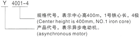 西安泰富西玛Y系列(H355-1000)高压YE2-80M2-4三相异步电机型号说明